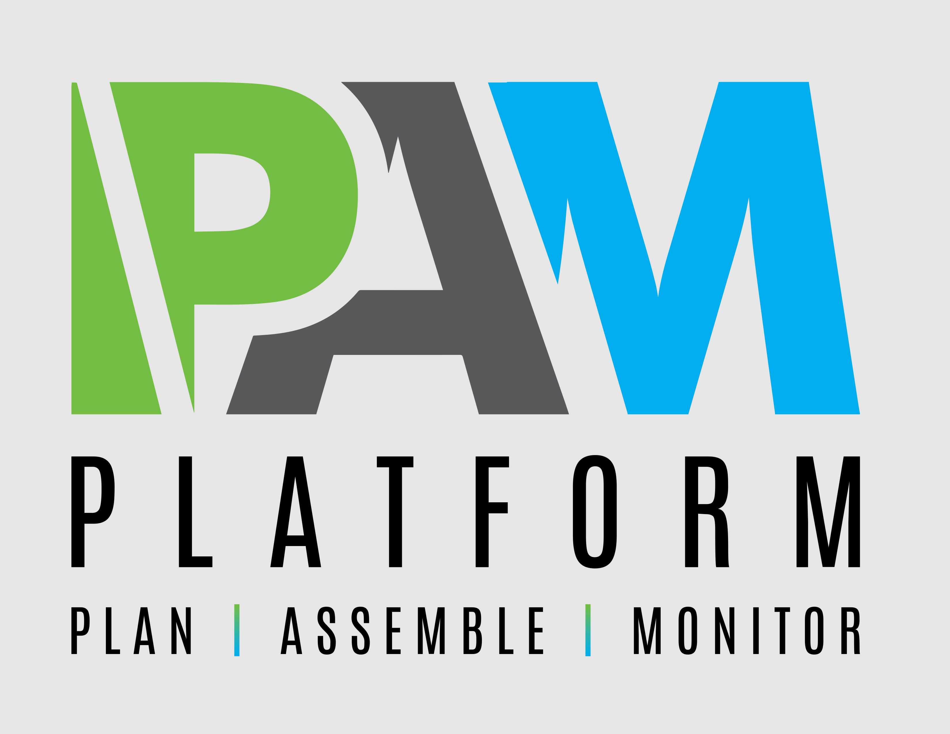 PAM-Logo